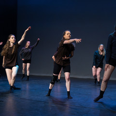 Showcase-164.jpg
